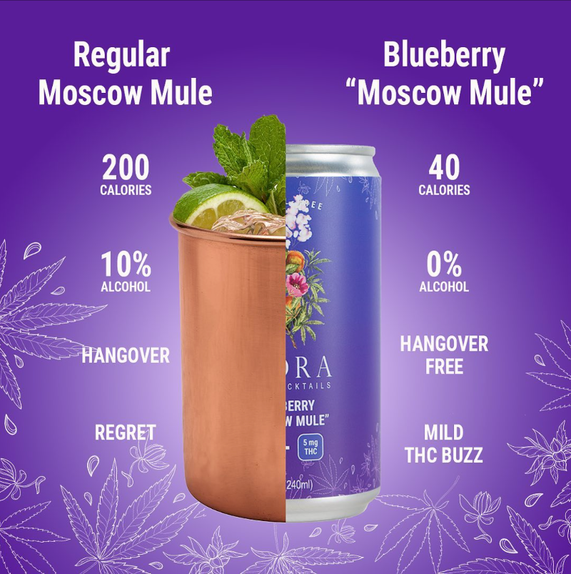 Flora Hemp Spirits Blueberry 'Moscow Mule'