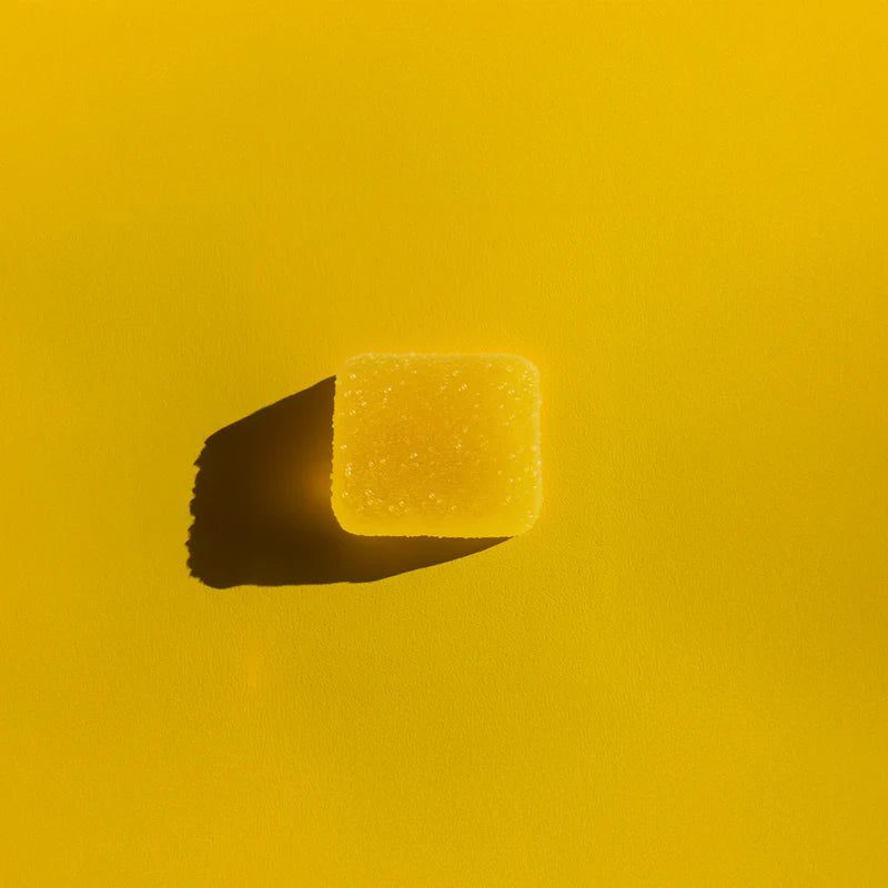 Sèchey | Emily's Sampler